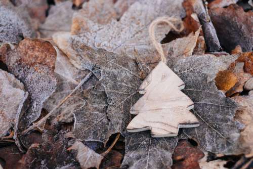 Wooden Christmas tree on frosted leaves 2