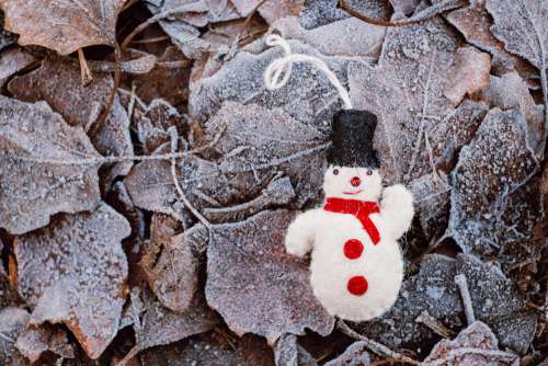 Felted snowman on frosted leaves 2