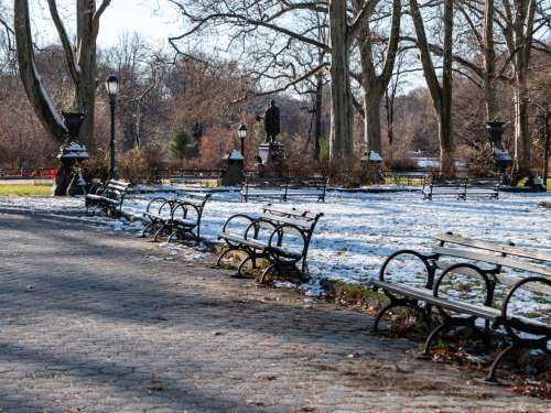 Snow Covered Park Benches
