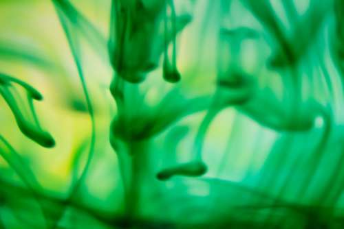Green Liquid Abstract Free Photo