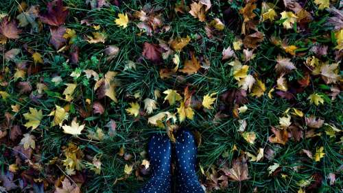 Autumn Leaves Rubber Boots Colorful Moist Dark