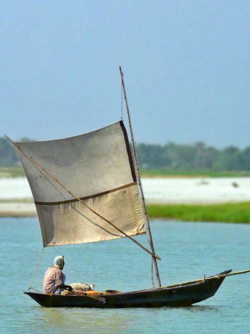 River Boat Boatman Nature Bangladesh
