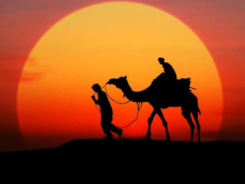 Camel Sunset Silhouette Desert People Sky