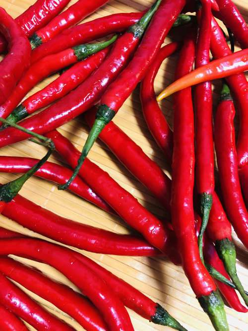 Pepper Hot Red Chili