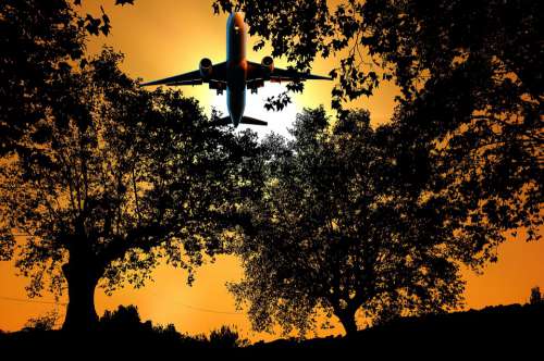 Sunset Nature Forest Silhouette Aircraft Sky
