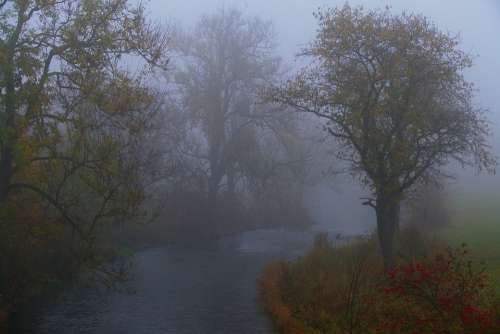 Fog Landscape Water Diffuse River Bach Waters