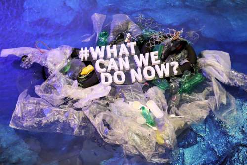 Plastics Recycle Oceans Recycling Waste Garbage