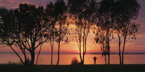 Anzac Dawn Dawn Water Australia Nsw Lake Mulwala