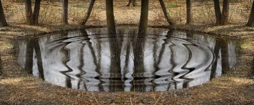 Pond Autumn Forest