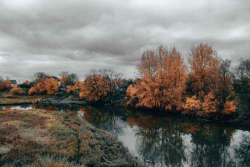 Nature Autumn Gray Sky