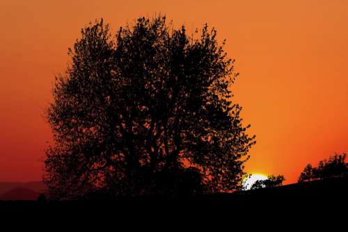 Sunset Nature Trees Landscape Sky Evening Orange