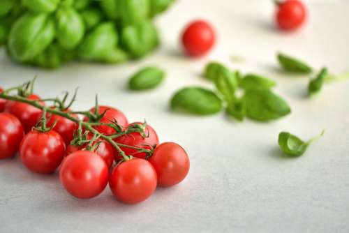 Tomatoes Basil Food Tomato Italian Fresh