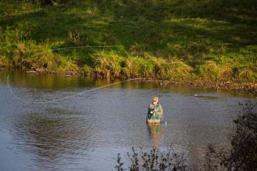 Fisherman Angler Fishing Rod Fish Water Nature