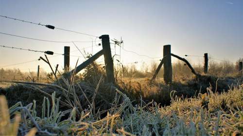 Secretion Winter Meadow Nature Landscape Frozen