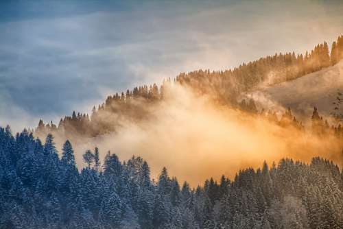 Nature Landscape Winter Cold Fog Mountains