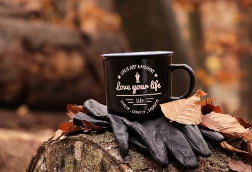 Forest Autumn Cup Love Your Life Motto Gloves