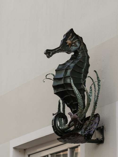 Seahorse Statue Iron Artfully Metal Sculpture