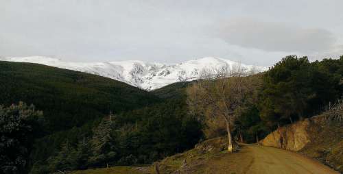 Sierra Nevada Snow Forest Nature Mountains Crest