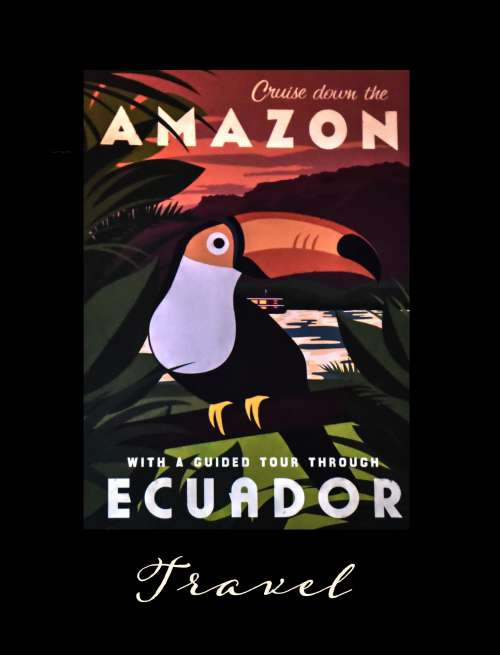 Amazon Travel Poster