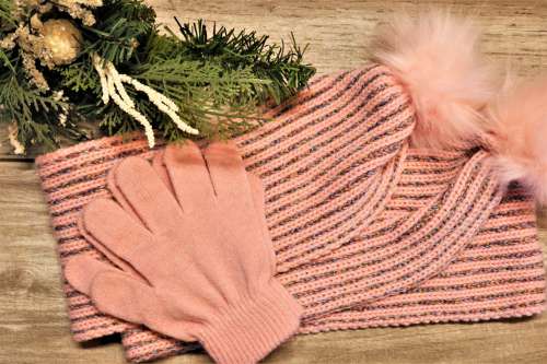 Pink Winter Scarf And Gloves