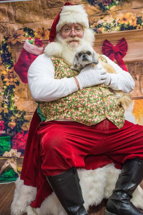 dogs santa love santa claus christmas