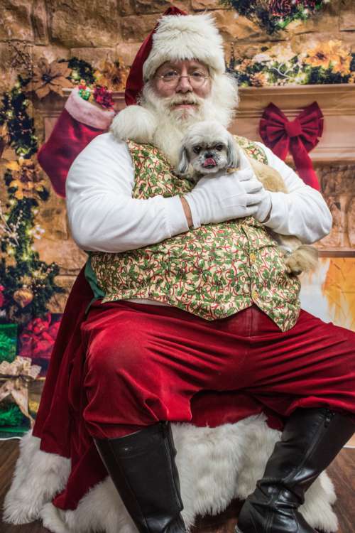 dogs santa love santa claus christmas