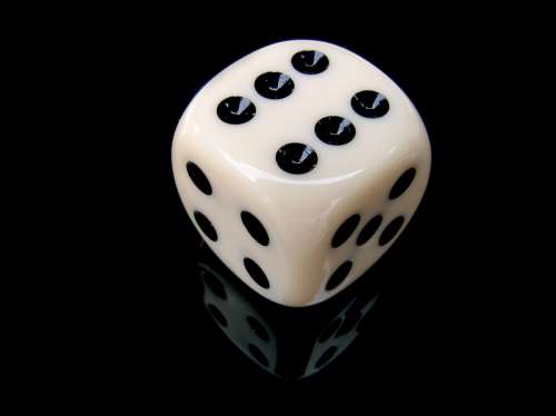 dice dice game gambling game play