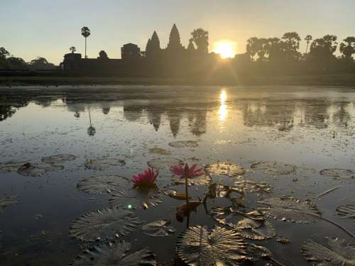 cambodia siem reap ankor wat