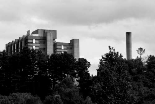 monochrome building exterior factory trees