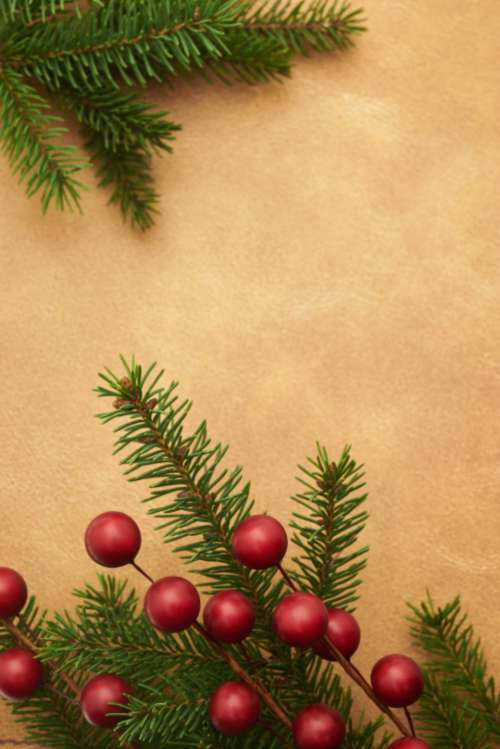 seasonal backgrounds christmas flat lay pine