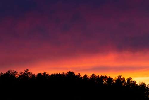 sunset clouds trees silhouette nature