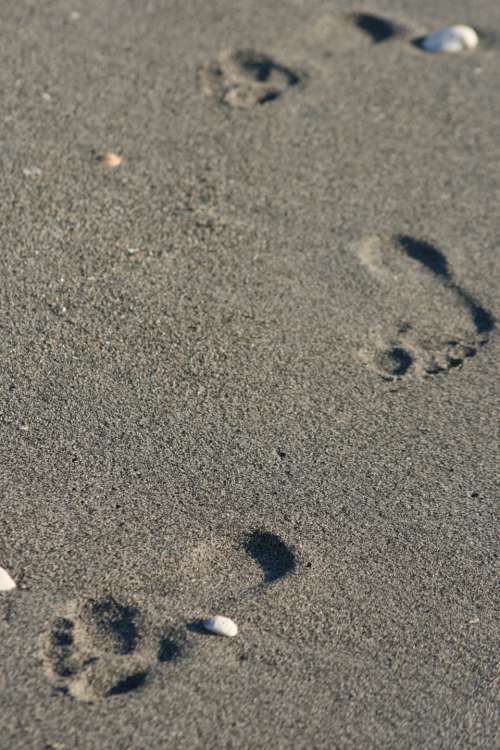 footprints sand beach barefoot foot