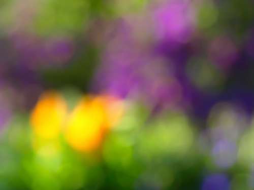 bokeh colorful lights background abstract