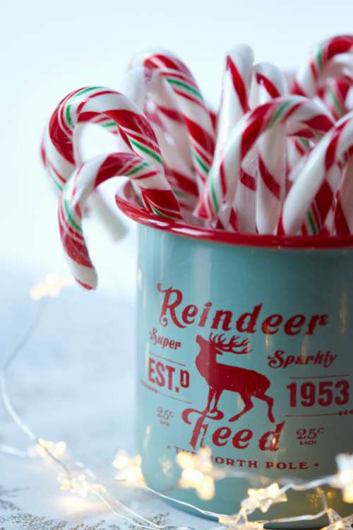 candy canes christmas peppermint sweets