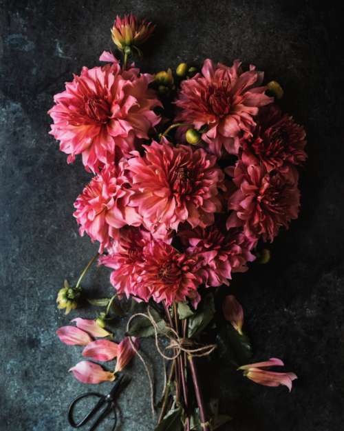 flower table bouquet colorful fresh