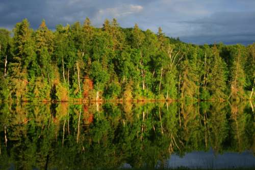 autumn lake landscape forest reflection