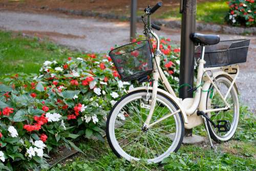 Beautiful White Bicycle Tied to a Pole Next to Red and White Flowers
