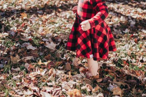 Child Stands In Leaves Photo