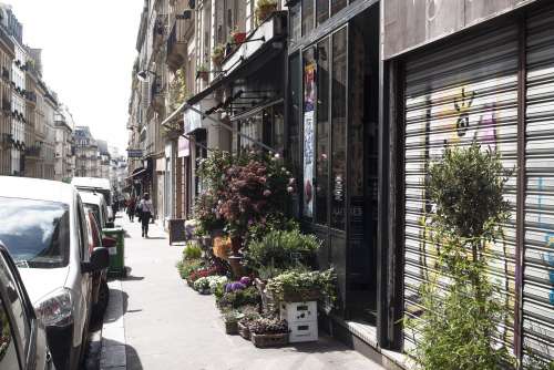 Urban Florist Store Photo