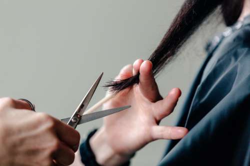 A Stylist Cuts Hair A Woman's Long Hair Photo