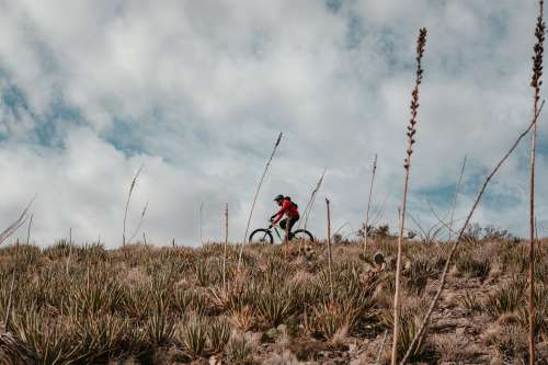 A Moutain Biker On A Hillside Photo