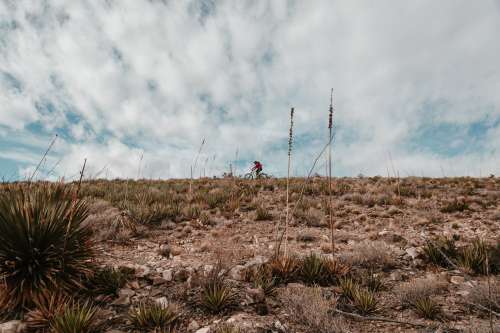 Biking In The Desert Photo