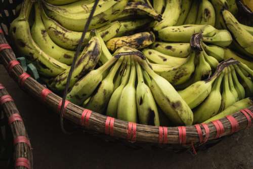 Ripe bananas in a basket