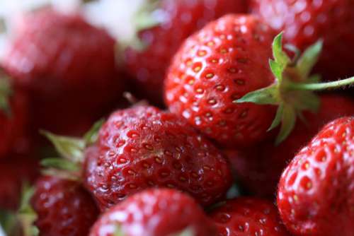Strawberries Macro Free Photo