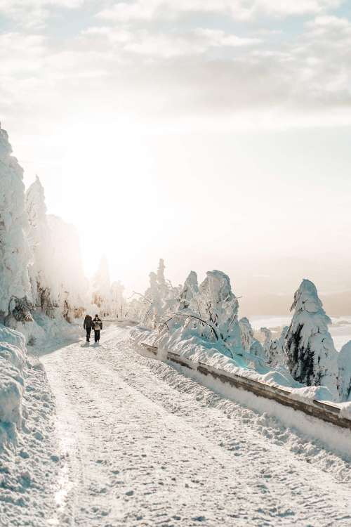 Two Persons Walking on Snow Covered Road Free Photo