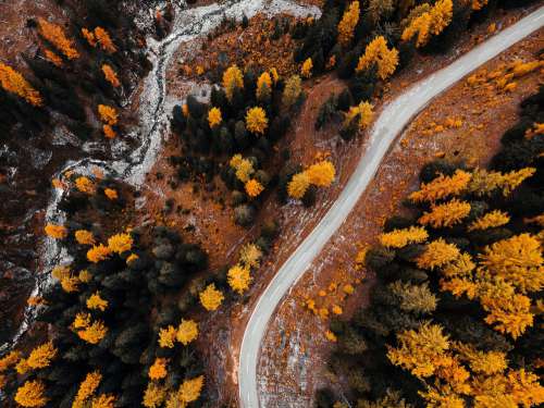 Autumn Forest Road from Above Free Photo