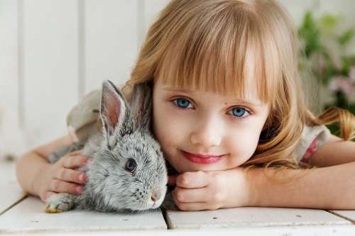 Rabbit Hare Baby Girl Studio Toy Beautiful Cute