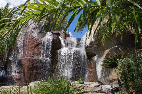 Waterfall Palm Landscape Travel Tropical Rocks