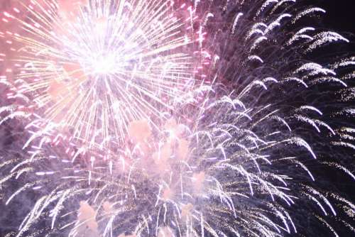 New Year Firework Year Fireworks Party Celebration