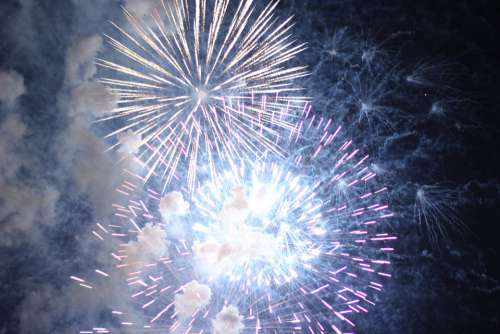 New Year Firework Year Fireworks Party Celebration